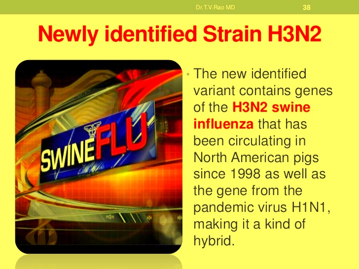 जाजरकोटमा फैलिएको सामन्य भाइरल भनिएको रोग H3N2 स्वाइन इन्फलुन्जा भएको पुष्टि